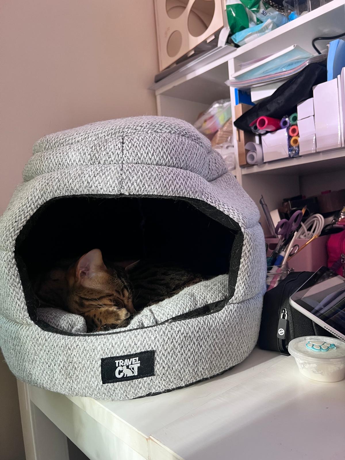 Tigger sleeping in her cave on the craft desk